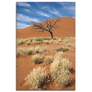 Artland Wandbild »Namib-Wüste 2«, Afrika, (1 St.) orange Größe