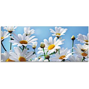 Artland Glasbild »Blumen - Margeriten«, Blumen, (1 St.) weiss Größe