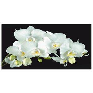 Artland Küchenrückwand »Weisse Orchidee auf schwarzem Hintergrund«, (1 tlg.) weiss Größe