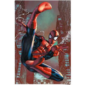 Reinders! Poster »Poster Spider-Man«, Comic, (1 St.) rot Größe