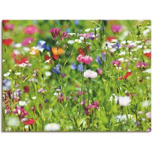 Artland Wandbild »Blumenwiese I«, Blumenwiese, (1 St.) grün Größe