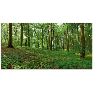 Artland Glasbild »Panorama von einem grünen Sommerwald«, Wald, (1 St.) grün Größe