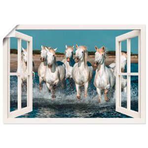 Artland Poster »Fensterblick Pferde am Strand«, Haustiere, (1 St.) weiss Größe