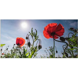 Artland Wandbild »Mohnblumen im Frühling«, Blumenwiese, (1 St.) rot Größe