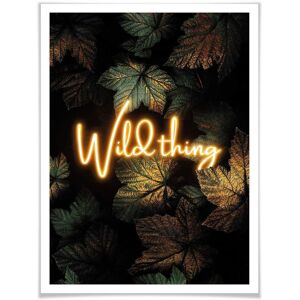 Wall-Art Poster »Wild Thing«, Schriftzug, (1 St.) bunt Größe