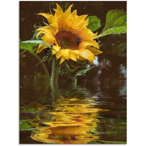 Artland Glasbild »Sonnenblume mit Wasserspiegelung«, Blumen, (1 St.) gelb Größe