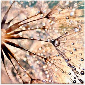 Artland Glasbild »Pusteblume - Kisses from rain«, Blumen, (1 St.) weiss Größe