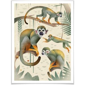 Wall-Art Poster »Squirrel Monkeys«, Tiere, (1 St.) bunt Größe