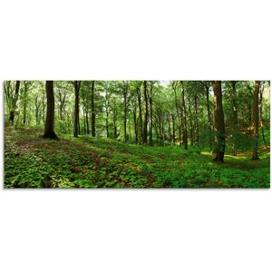 Artland Glasbild »Panorama von einem grünen Sommerwald«, Wald, (1 St.) grün Größe