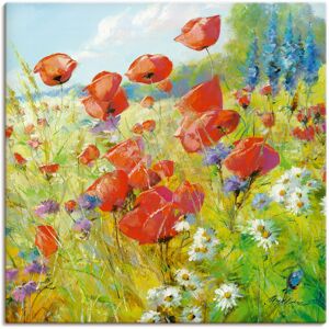 Artland Wandbild »Sommerwiese mit Mohnblumen«, Blumenwiese, (1 St.) bunt Größe