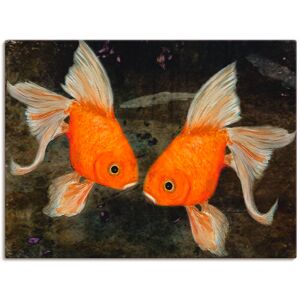 Artland Wandbild »Turtelfische«, Wassertiere, (1 St.) orange Größe