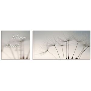 Artland Glasbild »Zitatenbild, Pusteblumen-Samen«, Sprüche & Texte, (2 St.) grau Größe