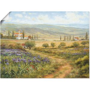 Artland Wandbild »Provence«, Bilder von Europa, (1 St.) grün Größe