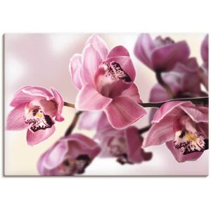 Artland Wandbild »Rosa Orchidee«, Blumenbilder, (1 St.) pink Größe