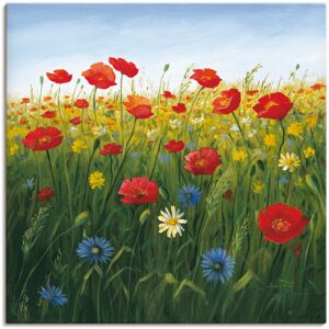 Artland Wandbild »Mohnblumen Landschaft I«, Blumenwiese, (1 St.) grün Größe