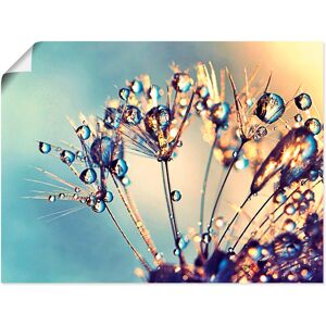 Artland Wandbild »Pusteblume Glitzertau«, Blumen, (1 St.) blau Größe