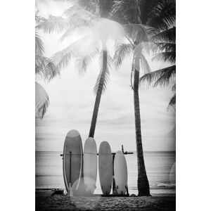 queence Acrylglasbild »Surfboards« schwarz Größe