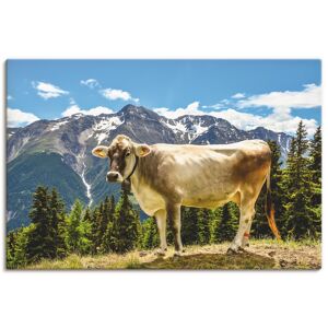 Artland Wandbild »Bergkuh in den Alpen im Sommer«, Haustiere, (1 St.) grün Größe