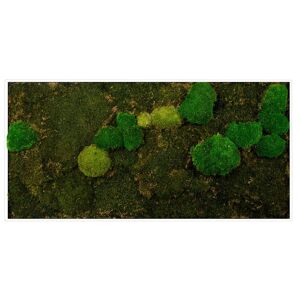 Bönninghoff Bild mit Rahmen »Mixmoos«, Natur, (1 St.) grün Größe
