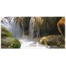 Artland Wandbild »Wasserfall«, Gewässer, (1 St.) weiss Größe