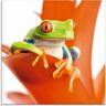 Artland Glasbild »Frosch auf seinem Thron«, Wassertiere, (1 St.) orange Größe