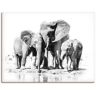 Artland Wandbild »Elefantenmutter mit Kindern«, Elefanten Bilder, (1 St.),... schwarz Größe