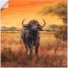 Artland Wandbild »Büffel«, Wildtiere, (1 St.), als Poster, Wandaufkleber in... orange Größe