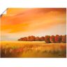 Artland Poster »Herbst«, Felder, (1 St.), als Leinwandbild, Wandaufkleber... orange Größe