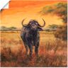 Artland Wandbild »Büffel«, Wildtiere, (1 St.), als Poster, Wandaufkleber in... orange Größe