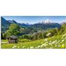 Artland Glasbild »Landschaft in den Bayerischen Alpen«, Berge, (1 St.) grün Größe