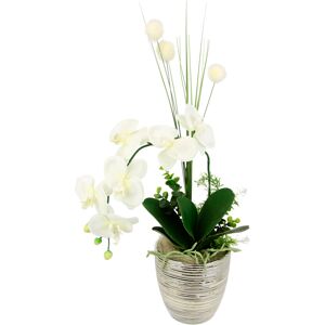 I.GE.A. Kunstblume »Arrangement Orchidee/Gras« creme Größe