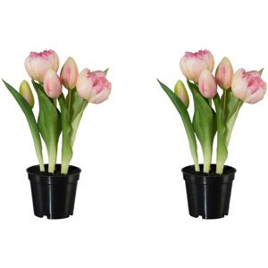 my home Kunsttulpe »Gefüllte Tulpen« rosa Größe