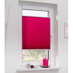 LICHTBLICK ORIGINAL Plissee »Klemmfix«, Lichtschutz, ohne Bohren, verspannt fuchsia + weiss Größe 130 cm