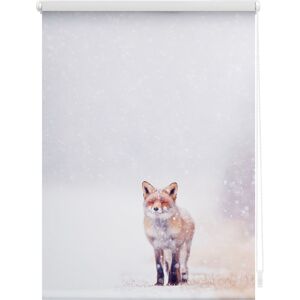 LICHTBLICK ORIGINAL Seitenzugrollo »Klemmfix Motiv Fuchs im Schnee«,... weiss/rot + weiss Größe 150 cm