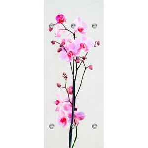 queence Garderobenleiste »Orchidee« rosa, weiss Größe