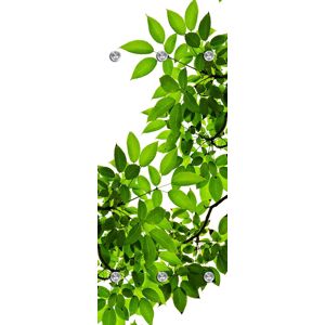 queence Garderobenleiste »Blätter« grün Größe