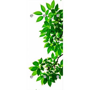 queence Garderobenleiste »Zweige mit Blättern«, mit 6 Haken, 50 x 120 cm grün, weiss Größe