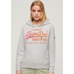 Superdry Kapuzensweatshirt »TONAL VL GRAPHIC HOODIE« Flake Grey Marl Größe L