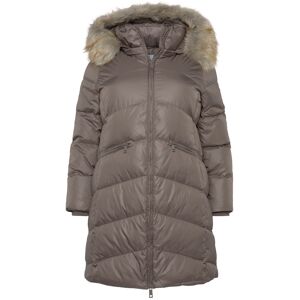 Calvin Klein Curve Steppmantel »ESSENTIAL REAL DOWN COAT INCLU«, mit... taupe Größe 5XL (50)