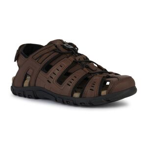 Geox Sandale »UOMO SANDAL STRADA C« dunkelbraun-schwarz Größe 46