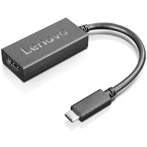 IBM USB-Kabel »USB Type-C - HD«, 24 cm  Größe