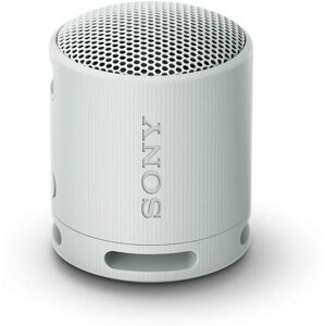 Sony Bluetooth-Speaker Grau Größe