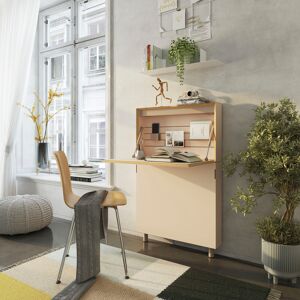 Müller SMALL LIVING Wandsekretär »FLATMATE« powder Größe