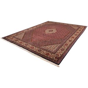 morgenland Orientteppich »Perser - Bidjar - 338 x 250 cm - braun«, rechteckig Braun Größe B/L: 250 cm x 338 cm