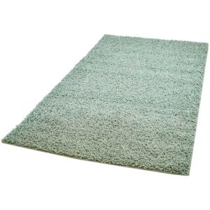 Carpet City Hochflor-Teppich »Pastell Shaggy300«, rechteckig hellgrün Größe B/L: 300 cm x 400 cm