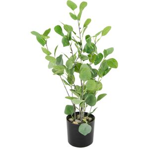 I.GE.A. Kunstbaum »Eukalyptus im Topf künstlich Eukalyptusbaum Pflanze Dekobaum« grün Größe