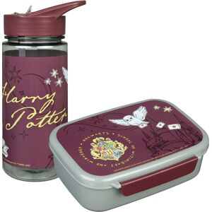 Scooli Lunchbox »Harry Potter«, (Set, 2 tlg.) Harry Potter Größe