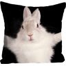 queence Dekokissen »Hugging Bunny« schwarz/weiss + bedruckt Größe B/L: 40 cm x 40 cm