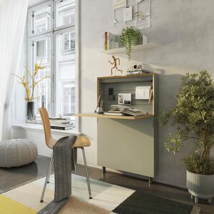 Müller SMALL LIVING Wandsekretär »FLATMATE« ash Größe