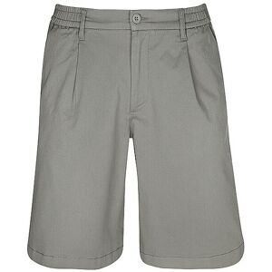 REPLAY Shorts grau 34 34 REPLAY Shorts grau 34 34